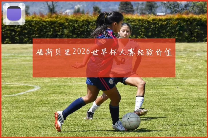 福斯贝里2026世界杯大赛经验价值