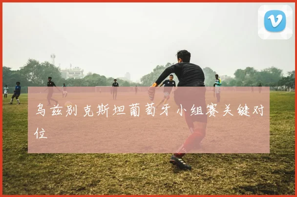 乌兹别克斯坦葡萄牙小组赛关键对位