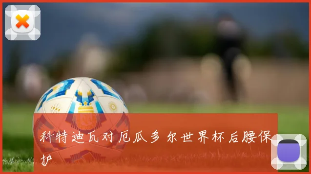 科特迪瓦对厄瓜多尔世界杯后腰保护