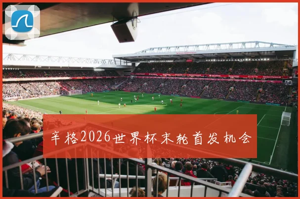 辛格2026世界杯末轮首发机会