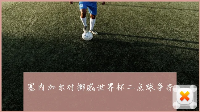 塞内加尔对挪威世界杯二点球争夺