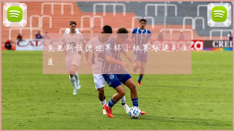 克里斯伍德世界杯小组赛球迷关注度