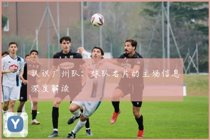 认识广州队:球队名片的主场信息深度解读