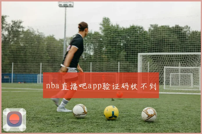 nba直播吧app验证码收不到